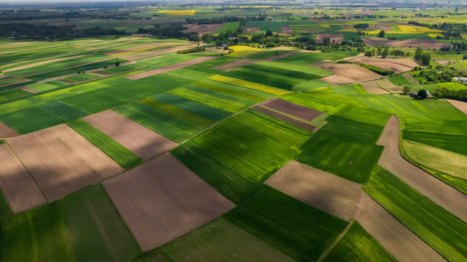 Konut ve Ticari Kullanım için Uygun Tarım Arazisi