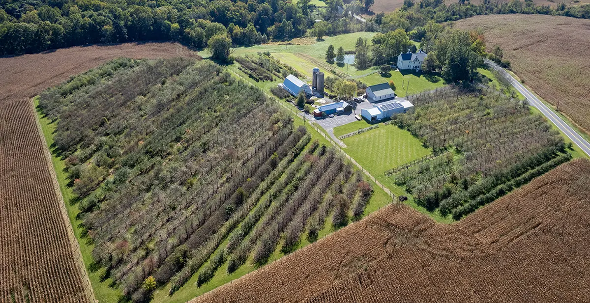 Ana Otoyola Yakın Büyük Tarım Arazisi