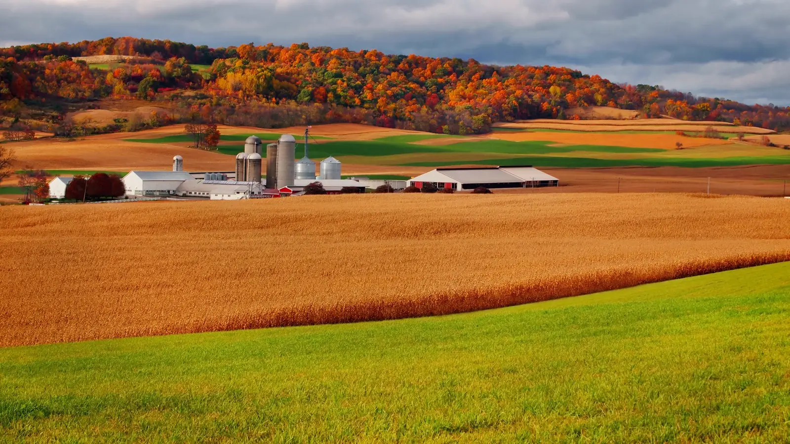 أرض زراعية مناسبة للاستخدام السكني والتجاري