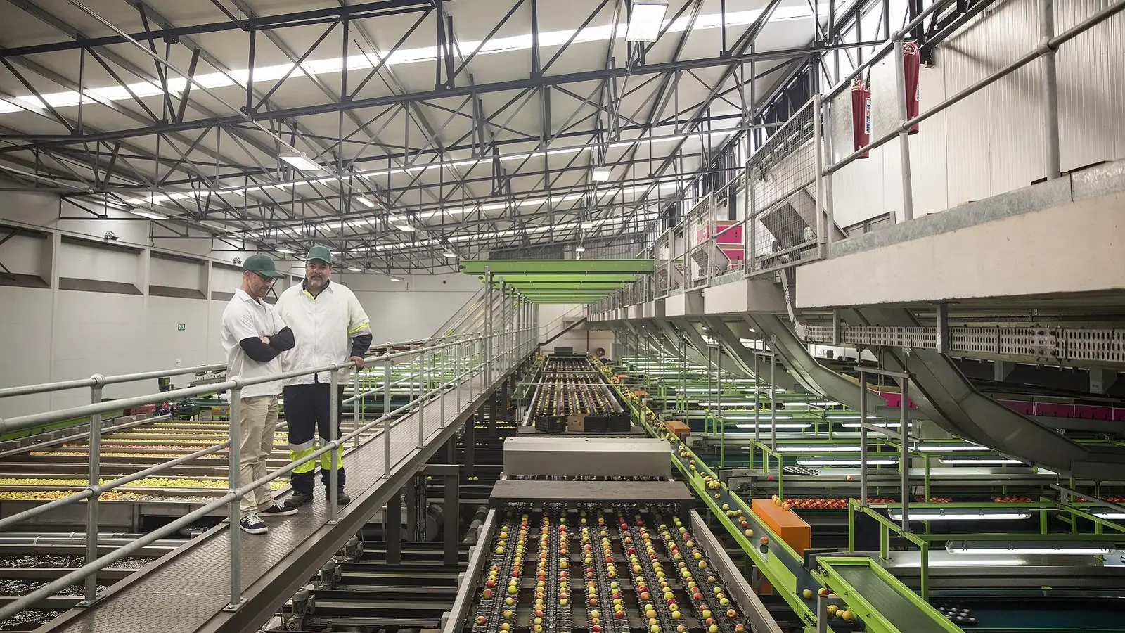 Dağıtım Merkezi ile Verimli Gıda İşleme Fabrikası