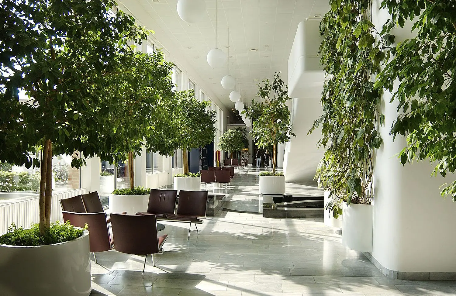 مركز طبي متقدم يوفر خدمات شاملة