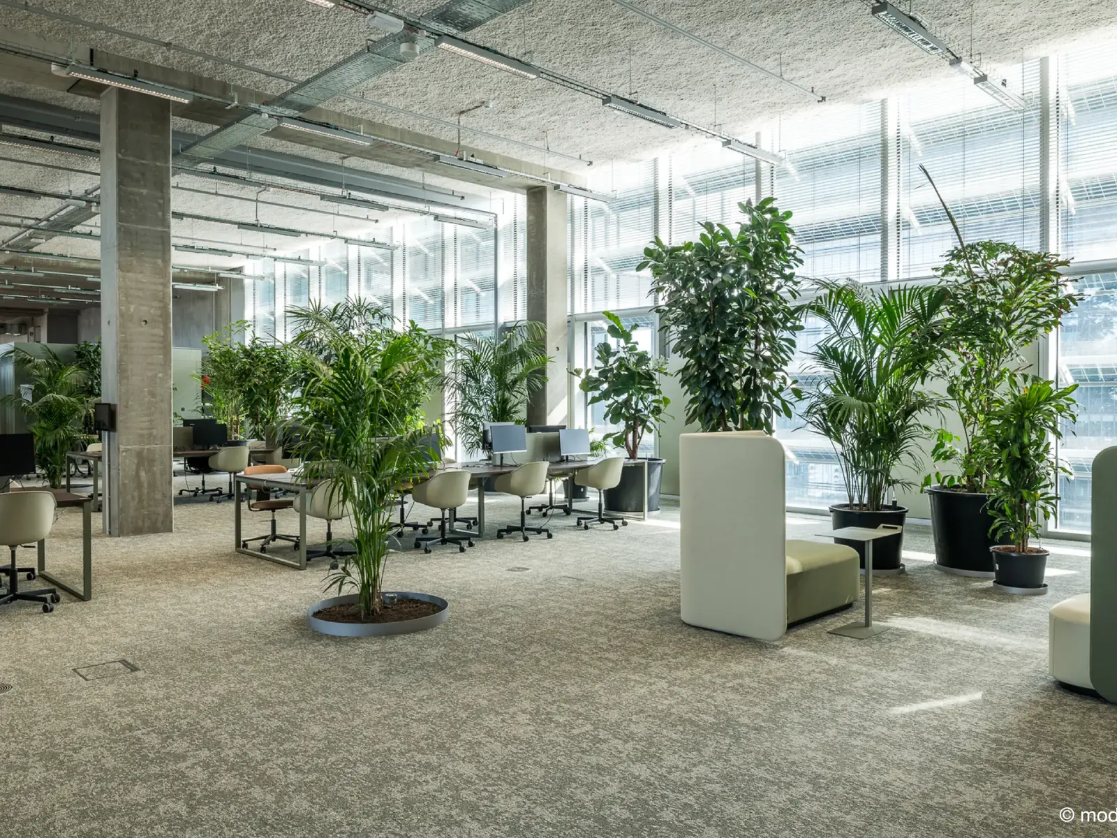 مبنى حكومي حديث بتصميم صديق للبيئة